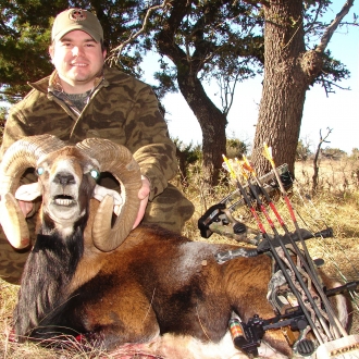 31" Trophy Mouflon